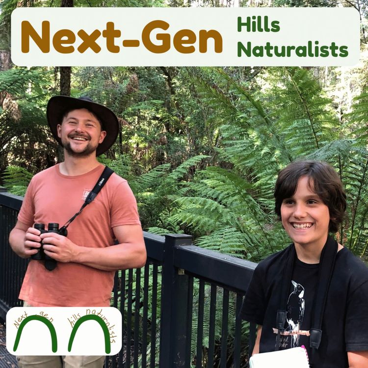 cover art for Ep 8, Superb Lyrebirds with Alex