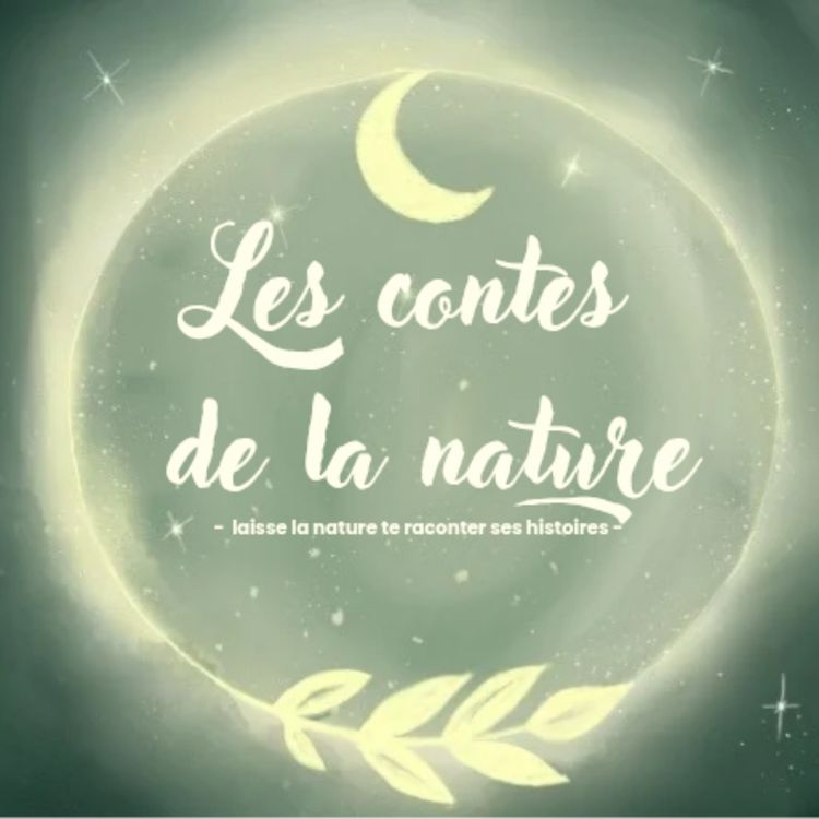 cover art for Le chat et son ombre