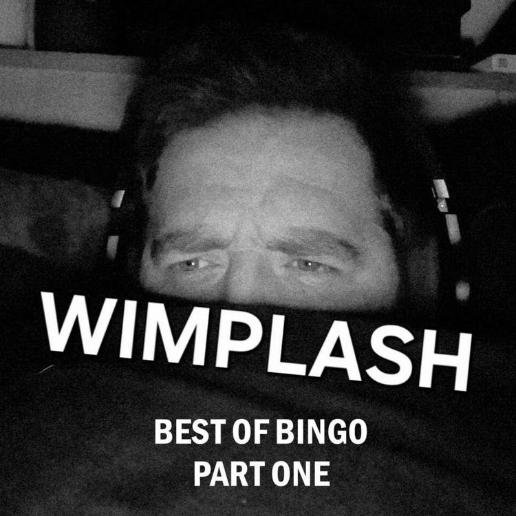 cover art for BEST OF BINGO: PART ONE