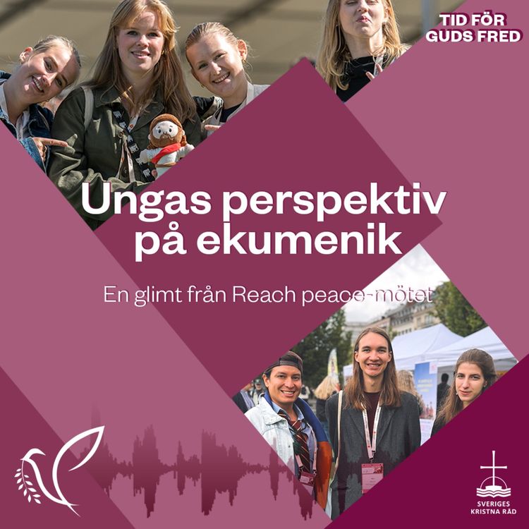 cover art for Ungas perspektiv på ekumenik