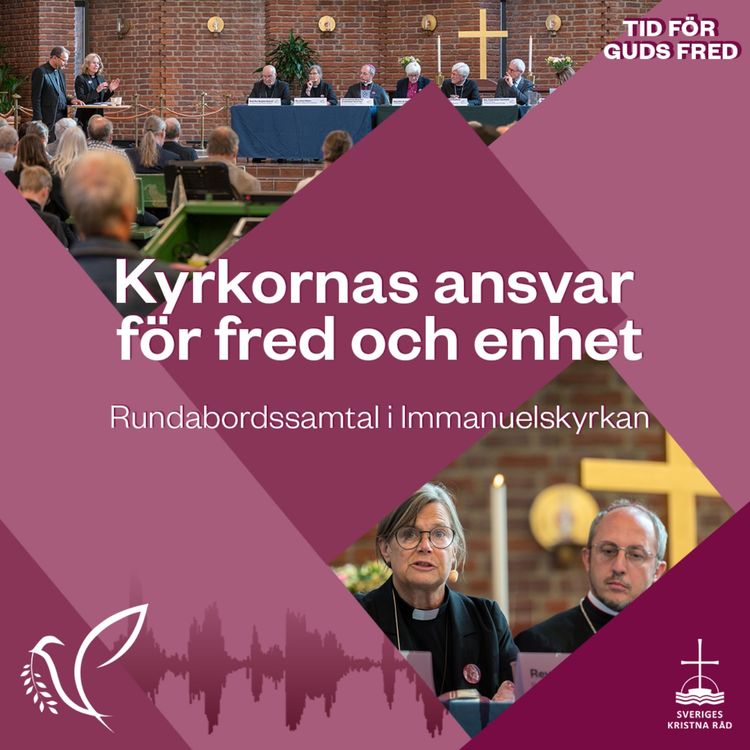 cover art for Kyrkornas ansvar för fred och enhet