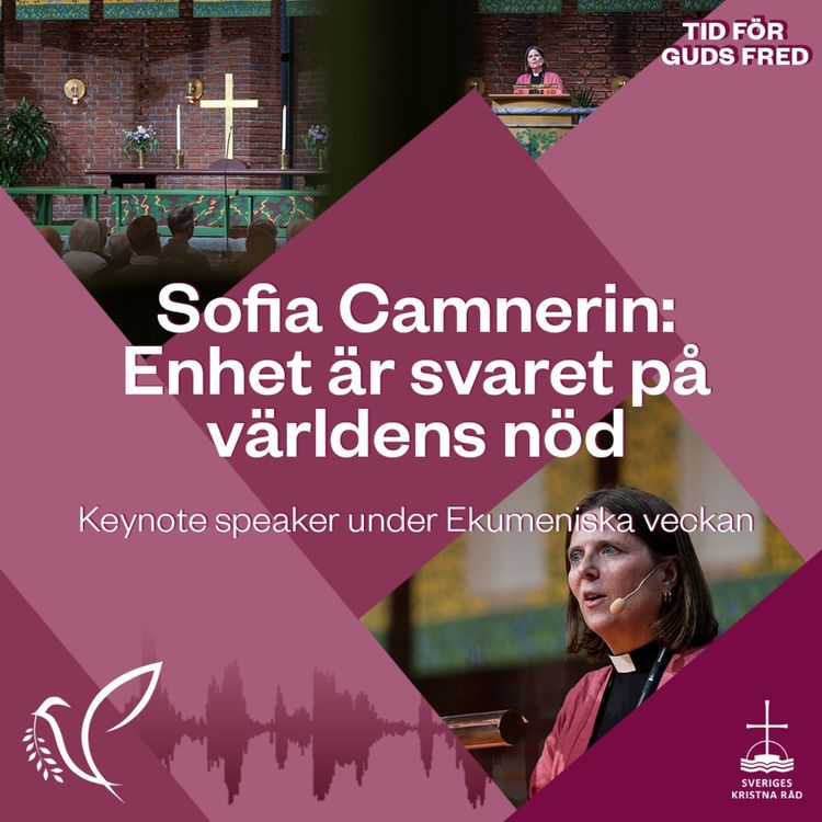 cover art for Sofia Camnerin: Enhet är svaret på världens nöd