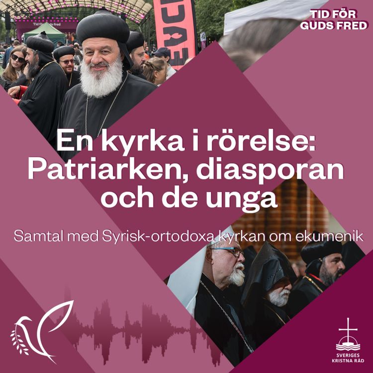 cover art for En kyrka i rörelse: Patriarken, diasporan och de unga