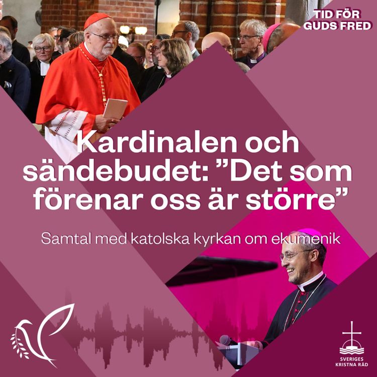 cover art for Kardinalen och sändebudet: ”Det som förenar oss är större”