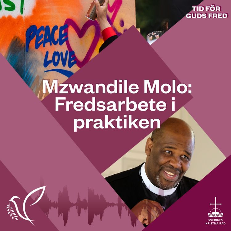 cover art for Mzwandile Molo: Fredsarbete i praktiken