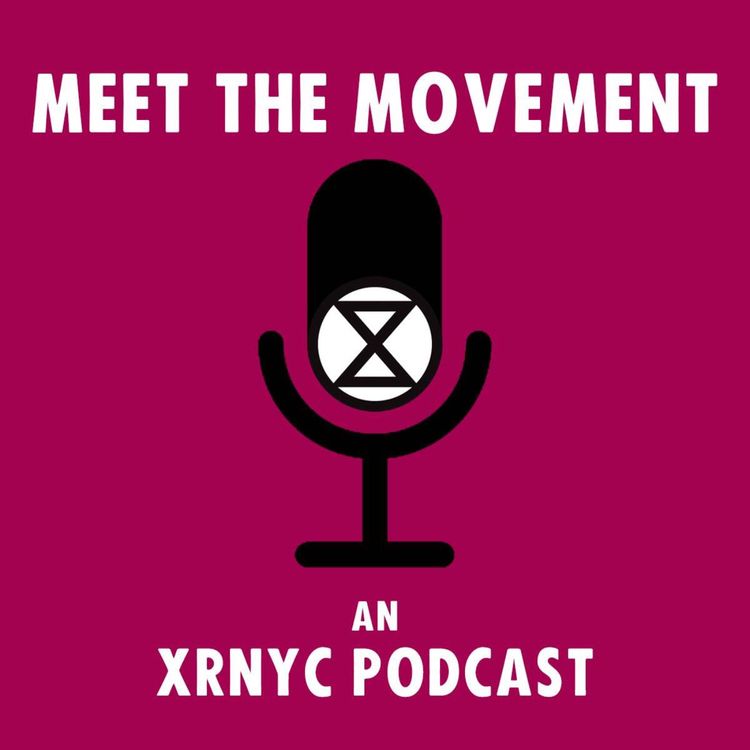 cover art for In Conversation with Turnip