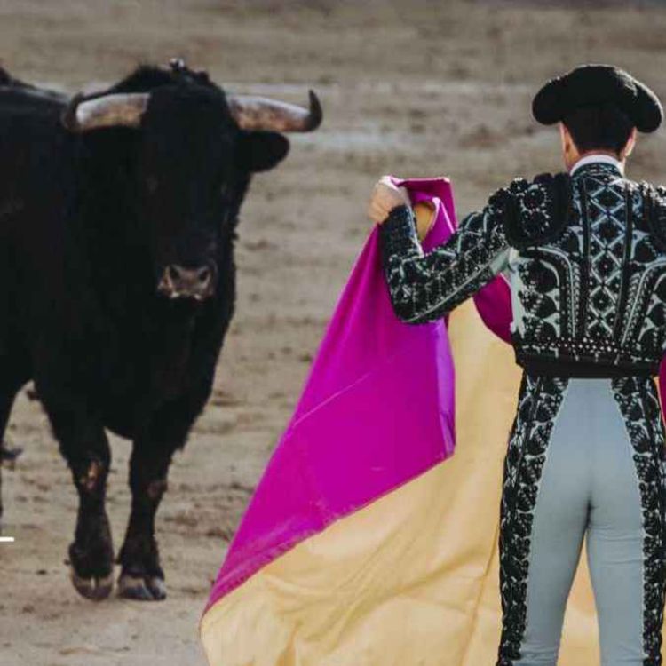 cover art for Fin de la corrida à Pérols !