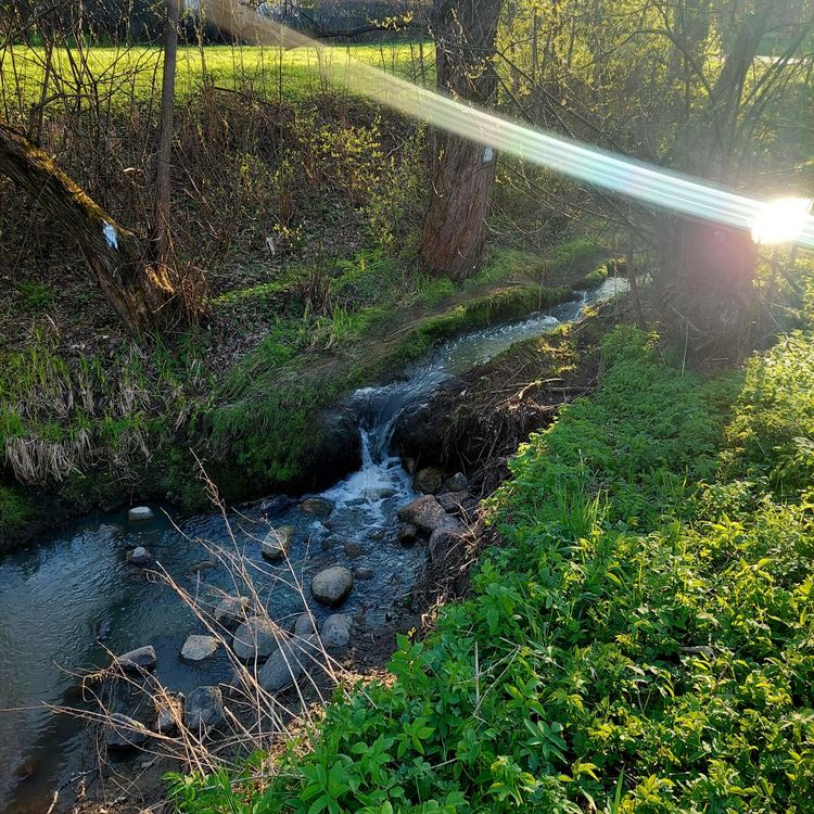 cover art for Miksi kiitollisuus on niin tärkeää?