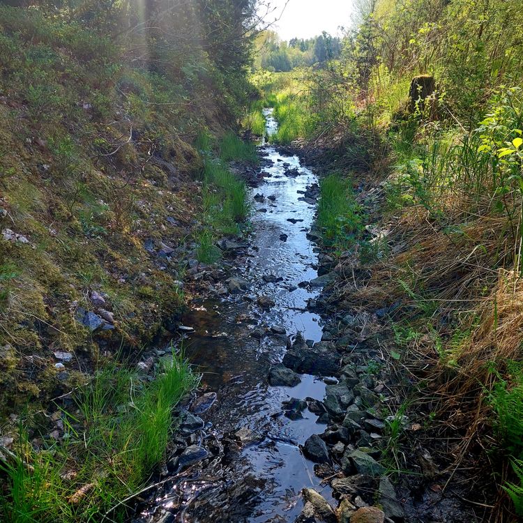 cover art for Mitä ovat tunnelukot?