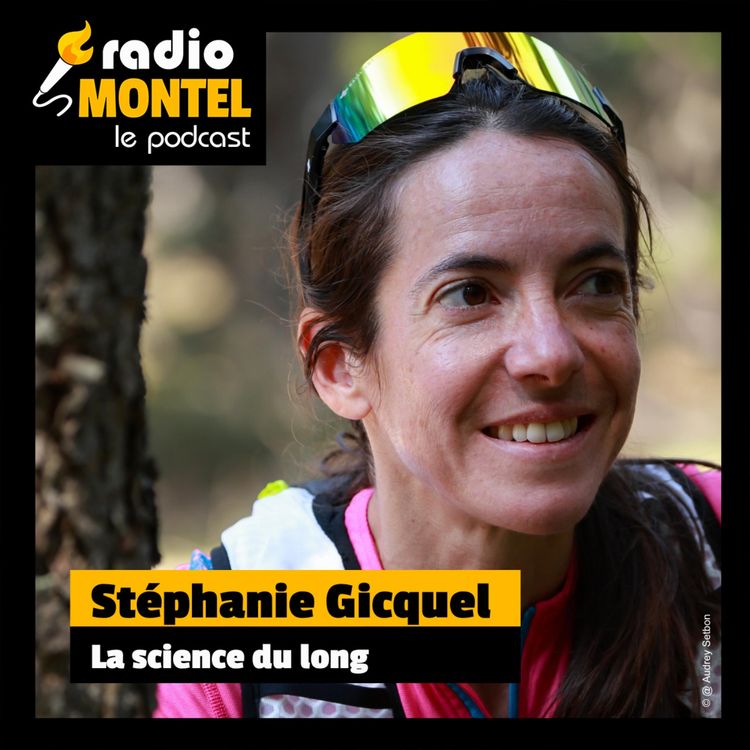 cover art for Stéphanie Gicquel - La science du long