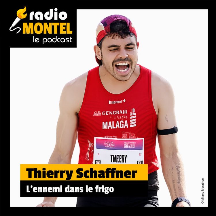 cover art for Thierry Schaffner - L'ennemi dans le frigo