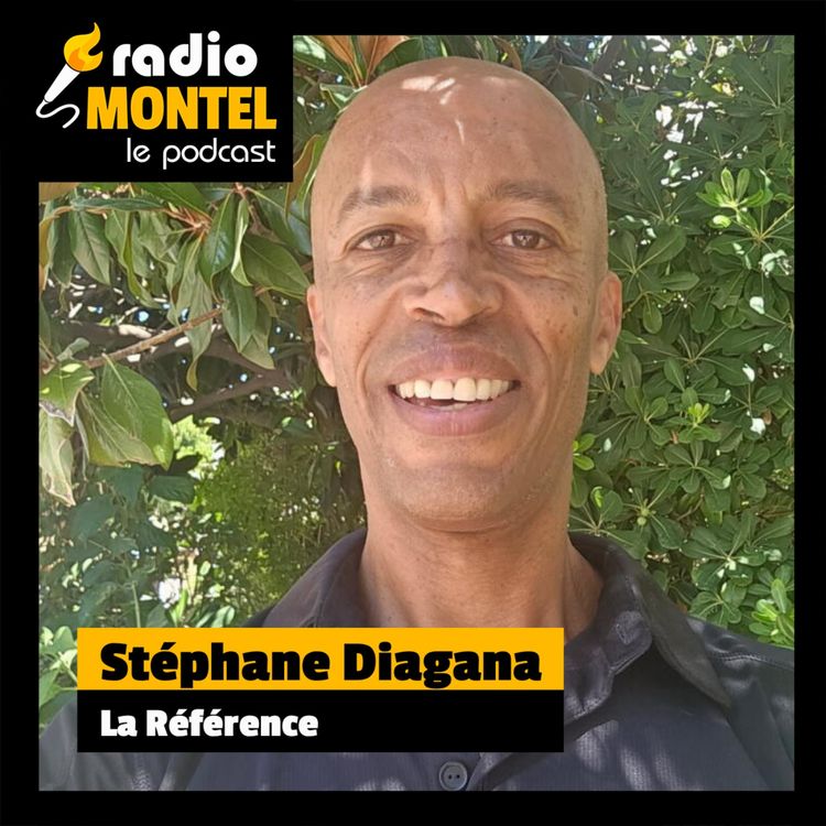 cover art for Stéphane Diagana - La Référence