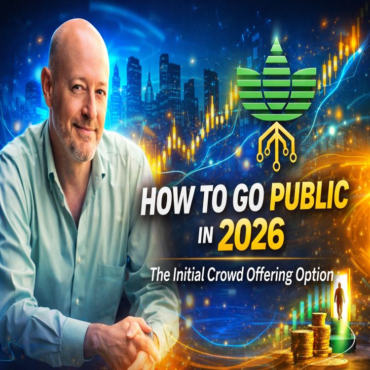 cover art for How to Go Public in 2026