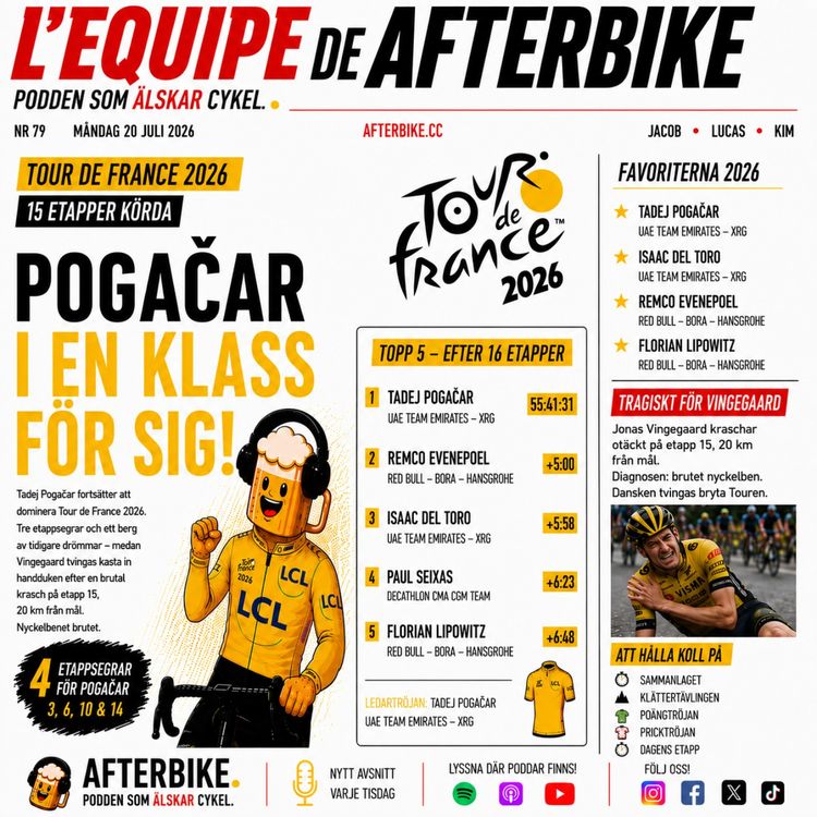 cover art for 31. Tour de France - Vilodag 2