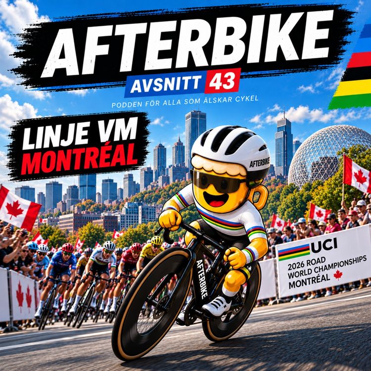 cover art for 43. Linje VM