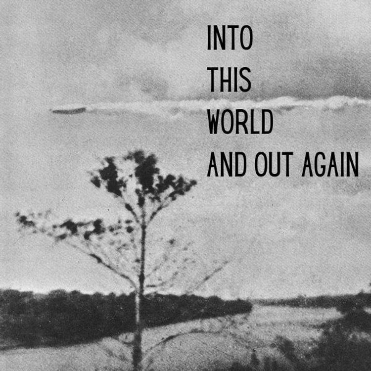 cover art for Into This World And Out Again 15