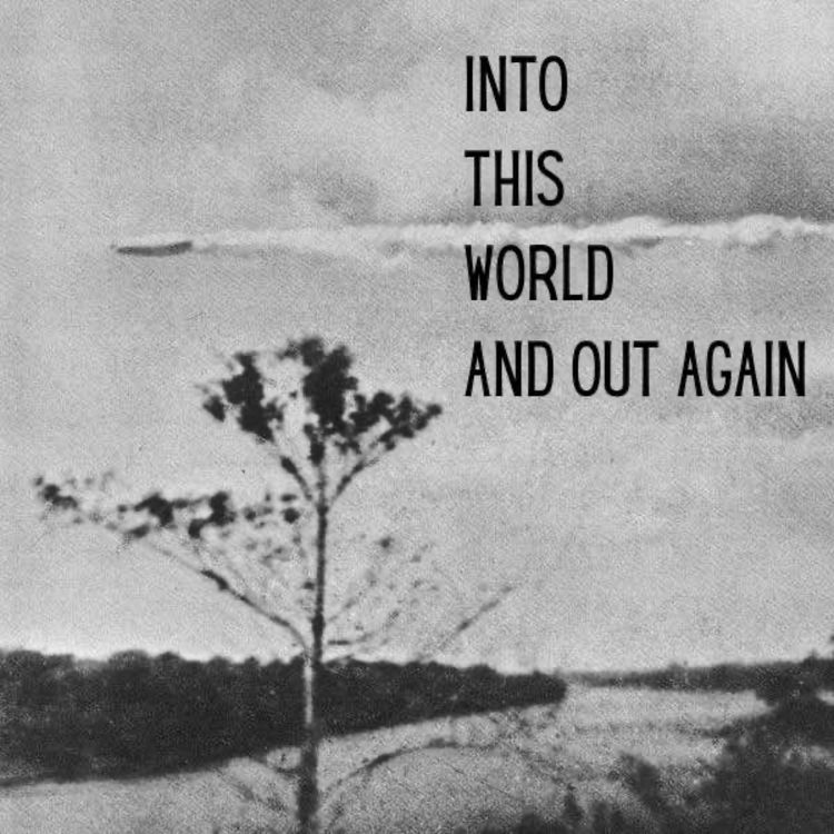 cover art for Into This World And Out Again 16