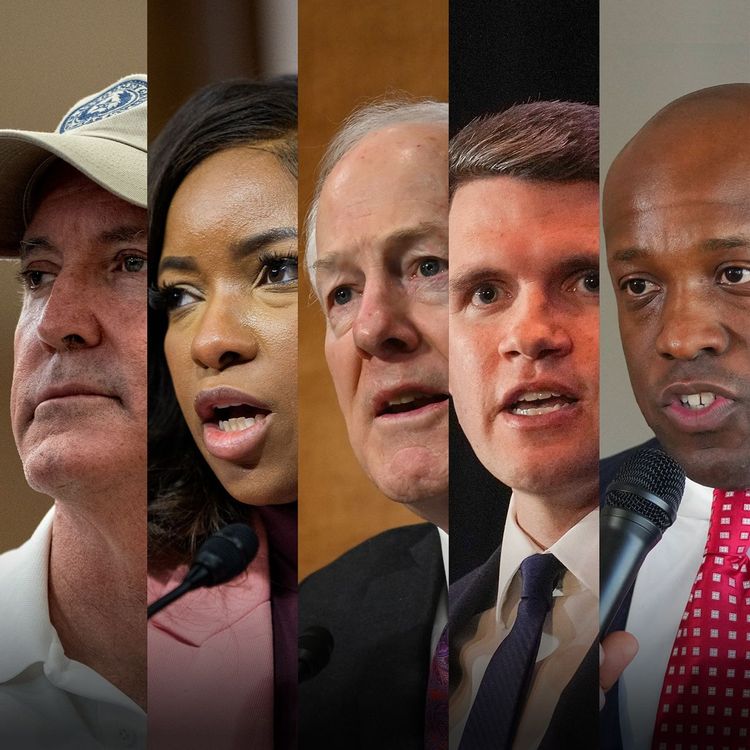 cover art for The Midterms Begin With a Texas-Size Showdown