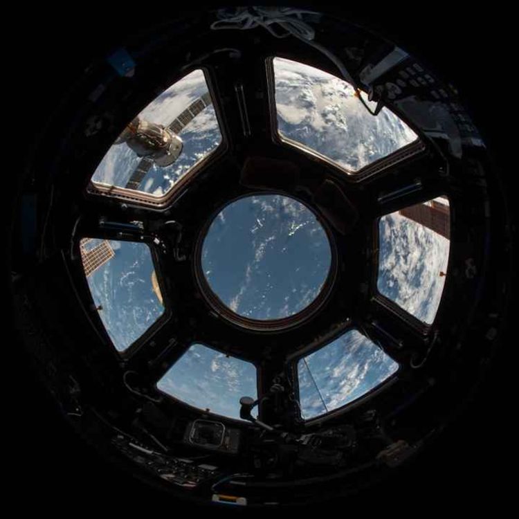 cover art for What would you give up for a year in space? / Gaslighting just beat out love / The mRNA verdict is in