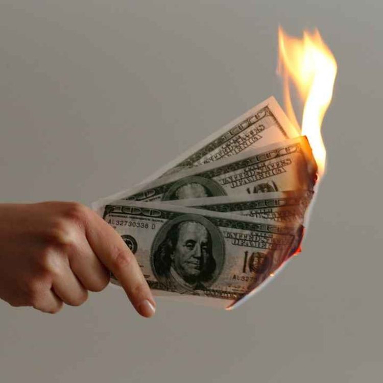 cover art for Online scams cost $148 billion and almost nobody reported it / Your brain has a readiness mode for memories — and it's not always on / Marijuana just became America's most popular daily substance