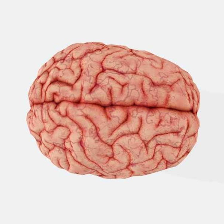 cover art for 54% of Americans are running on a full brain / Your brain is actually two organs squished together / America is losing a generation of scientists