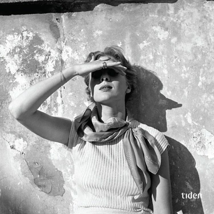 cover art for #363: Anna Bache-Wiig om romanen Til våren