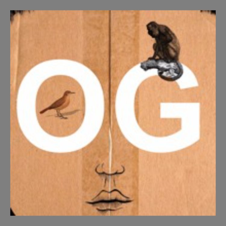 cover art for #41: Harde pakker til jul (2016)