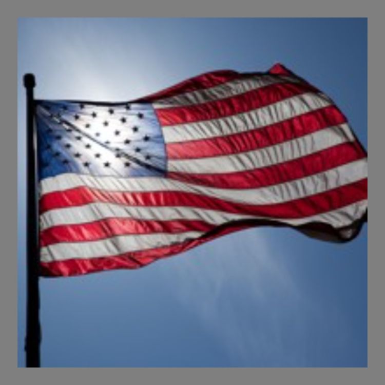 cover art for #45: Bøker om 2016-valget som ikke er skrevet ennå