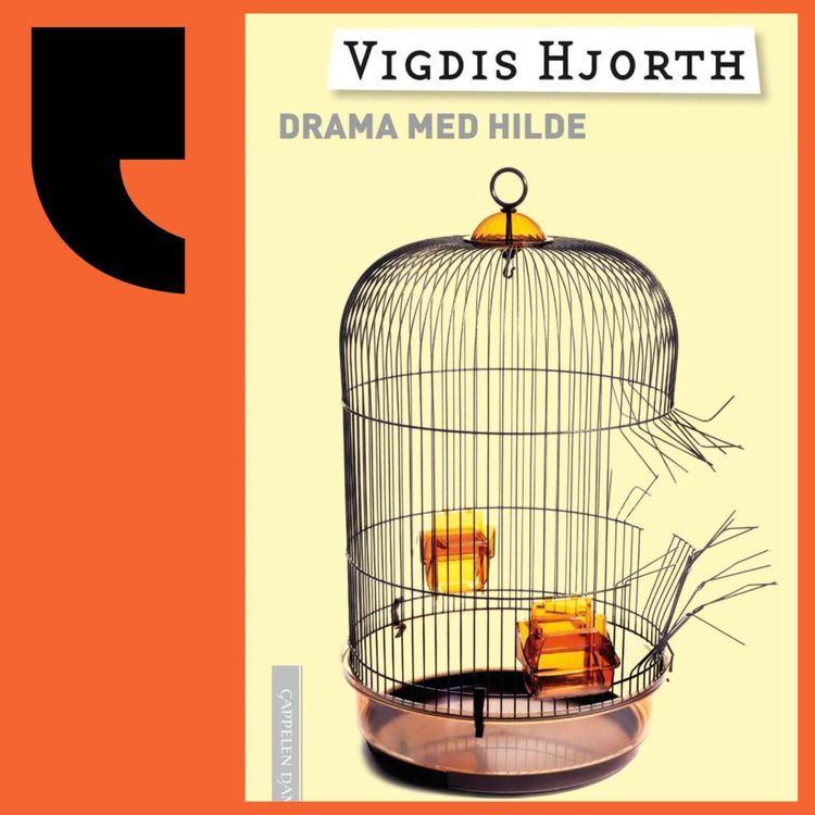 cover art for 40 år med Vigdis Hjorth (fra Kapittel26)