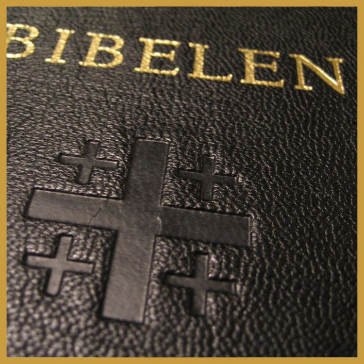 cover art for Kapittel25: Slik begynte jeg å lese i Bibelen