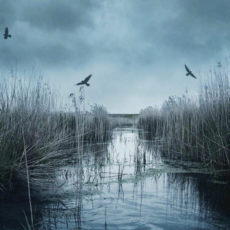 cover art for #320: Påskekrim! Elly Griffiths og 26 andre krimforfattere du bør sjekke ut.