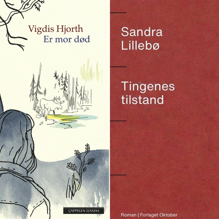 cover art for #213: Vigdis Hjorth og Sandra Lillebø (fra Kapittel20)