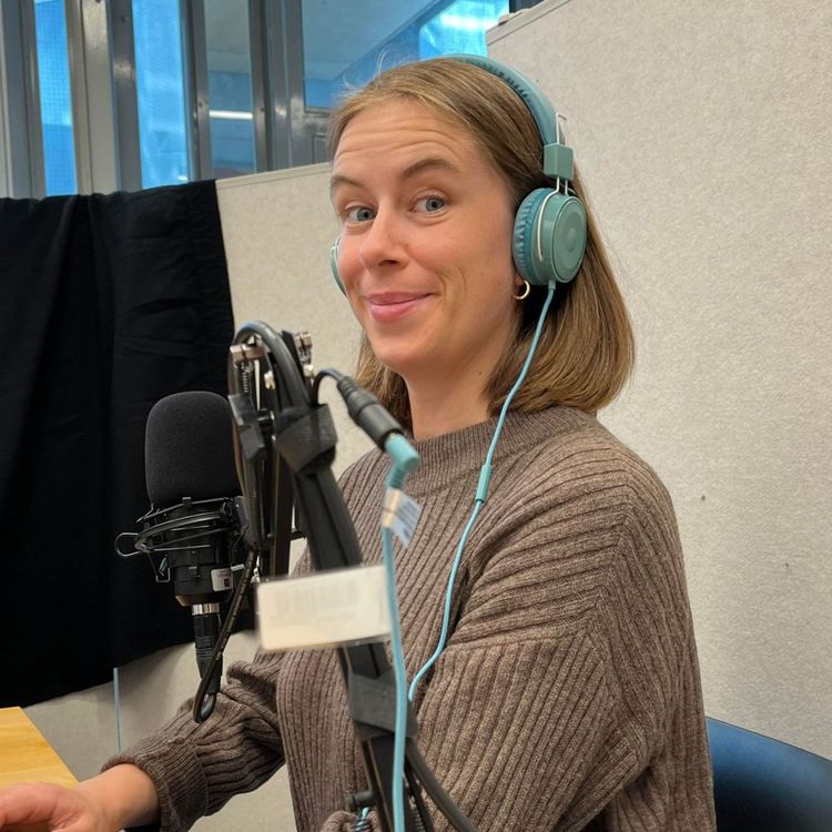 cover art for #376: Bibliotekarernes sommerboktips