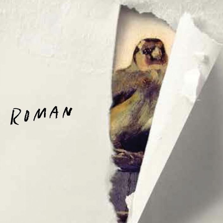 cover art for #252: Fugler i litteraturen - 17 boktips