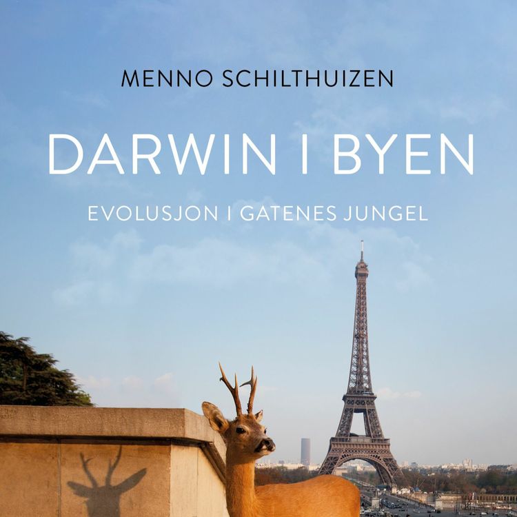 cover art for #203: Vi åpner dørene igjen - velkommen tilbake!