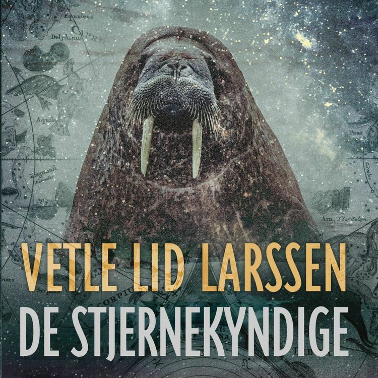 cover art for #359: Vetle Lid Larssen om De stjernekyndige