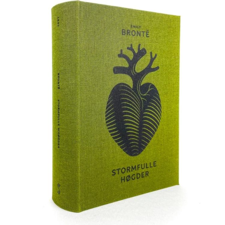 cover art for Stormfulle høyder - Tomas og Jannes umulige lesesirkel