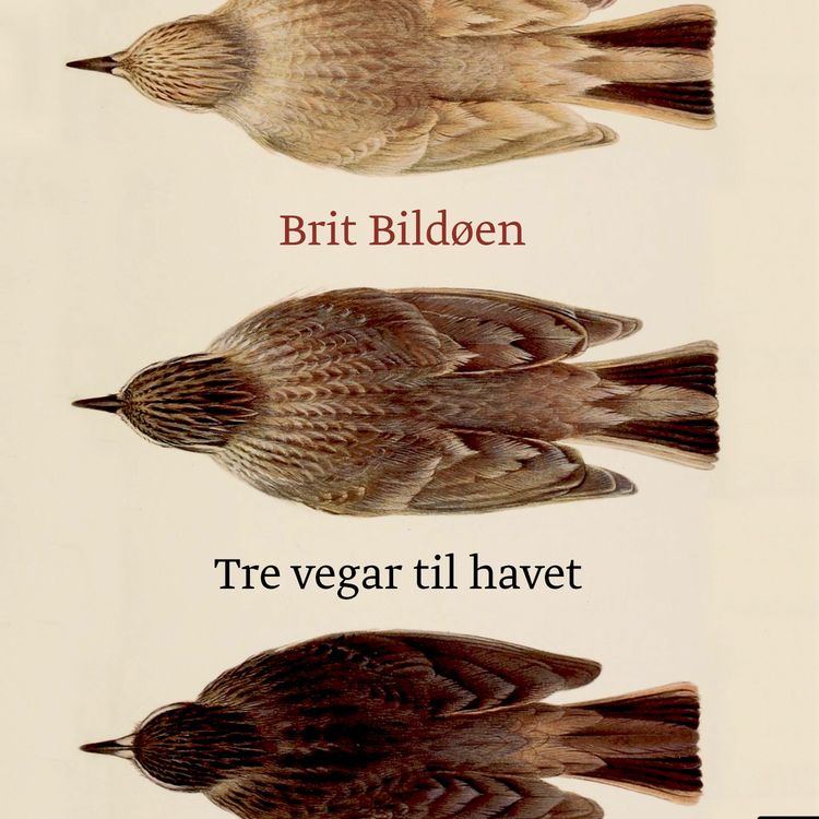 cover art for #134: Om Einar O. Risa, Brit Bildøen, Trude Marstein, Gunnhild Øyehaug m.m.