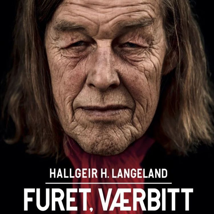 cover art for Hallgeir Langeland: Et politisk liv