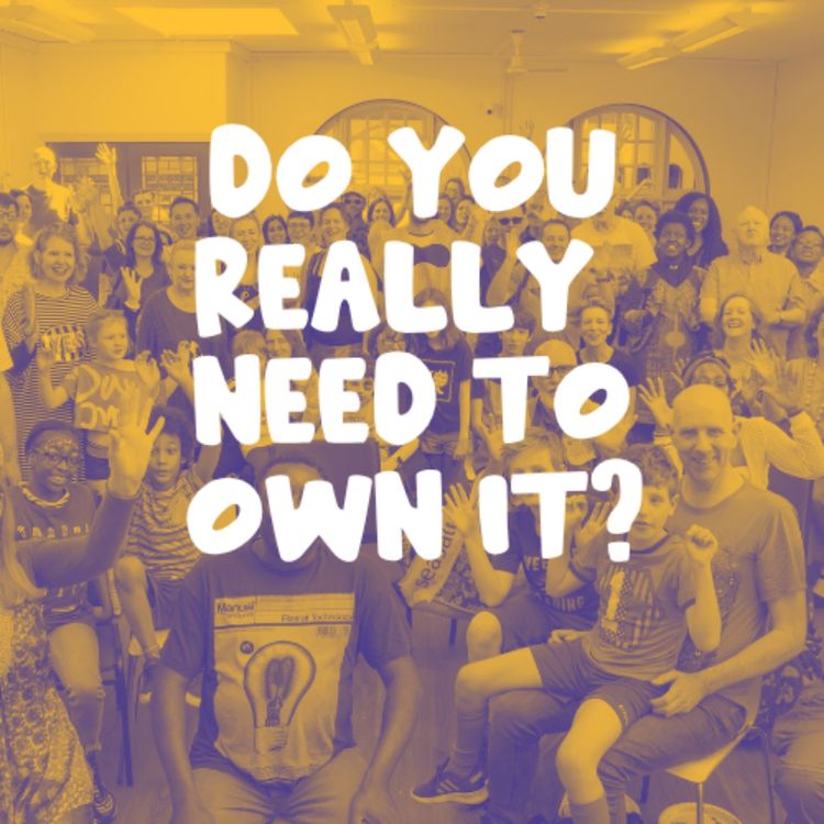 cover art for Do you really need to own it? 