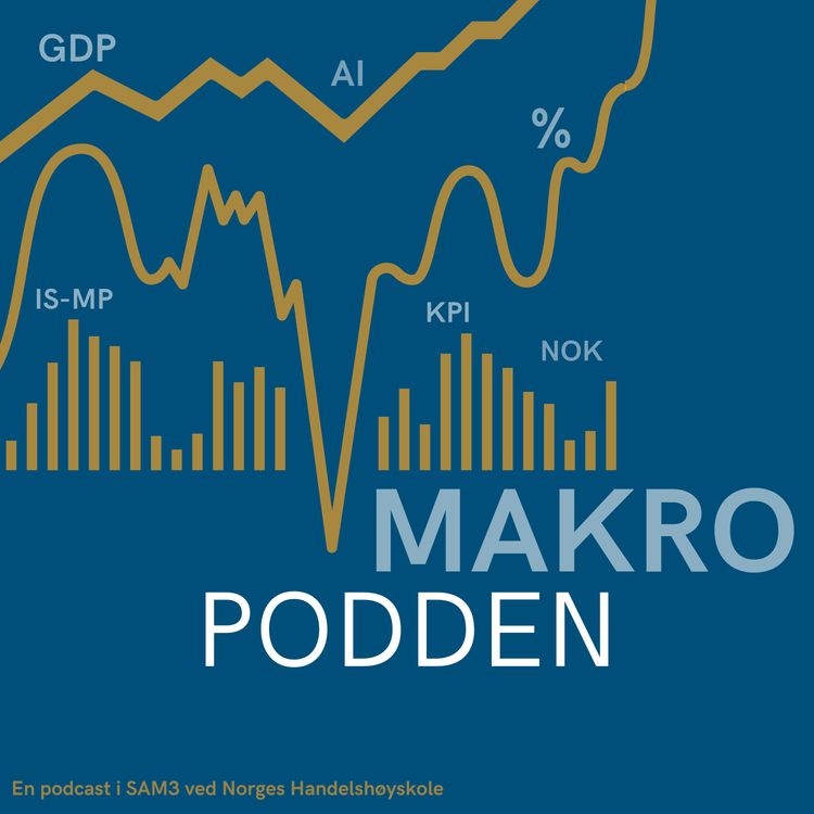 cover art for Oljefondet og Handlingsregelen