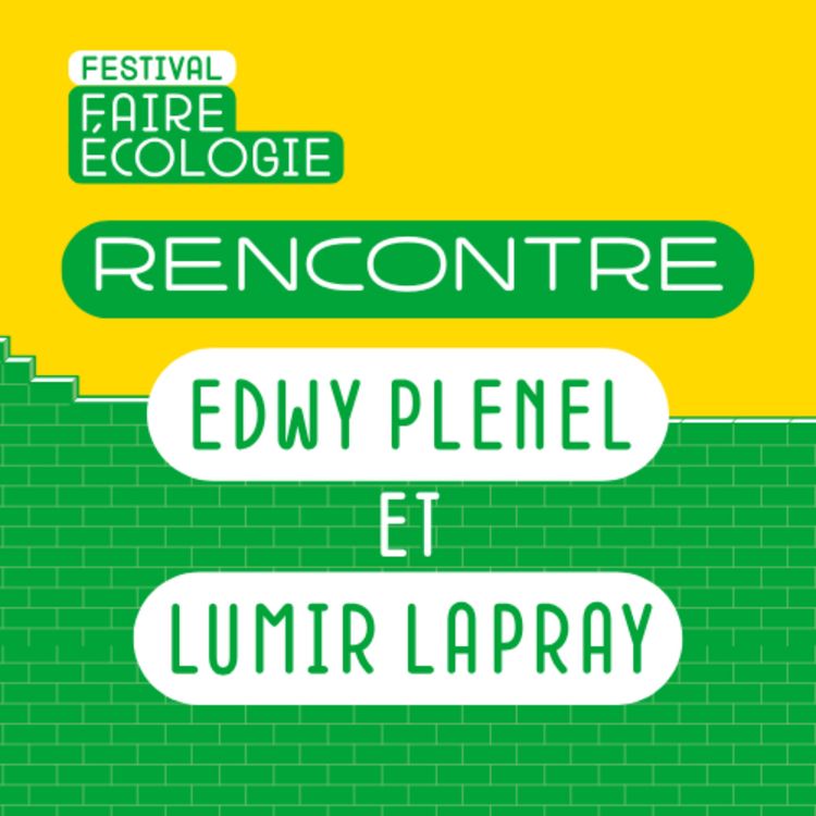 cover art for Lumir Lapray et Edwy Plenel