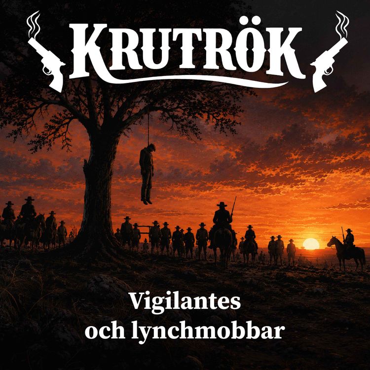 cover art for Vigilantes och lynchmobbar