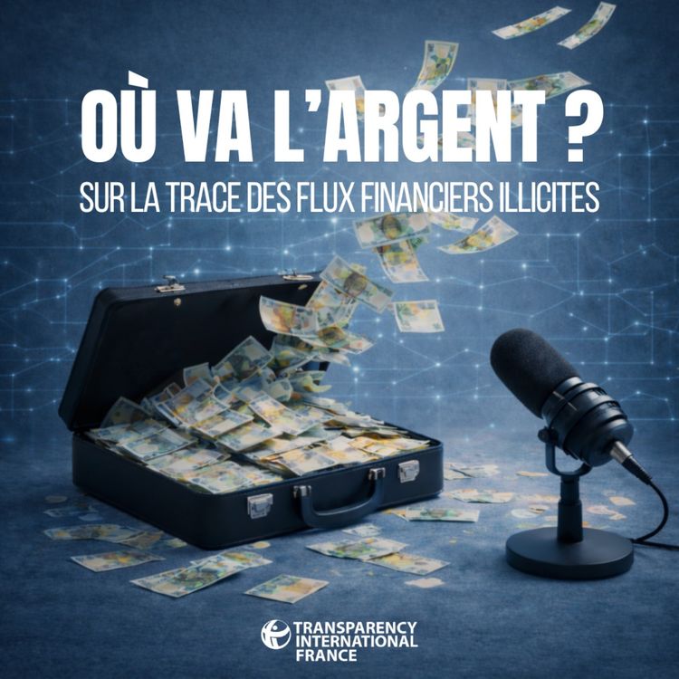 cover art for TEASER : Où va l'argent ? Sur la trace des flux financiers illicites 