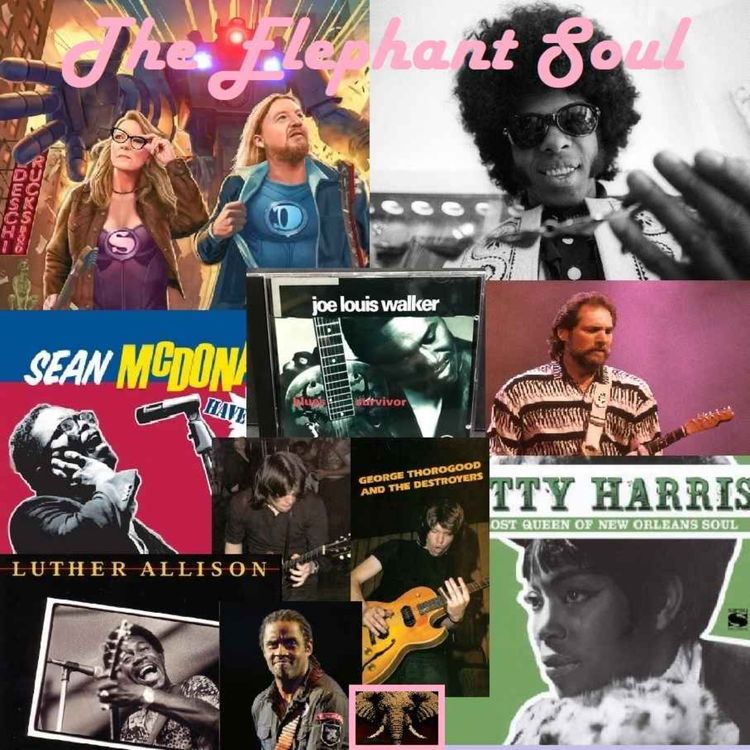 cover art for Episode 06 - TEDESCHI TRUCKS BAND - SLY and the FAMILY STONE - Joe-Louis WALKER - Steve CROPPER - Luther ALLISON - Sean Mc DONALD - Curtis SALGADO - Neal BLACK - George THOROGOOD & the Destroyers - Betty HARRIS - MISSISSIPPI HEAT - Kenny NEAL