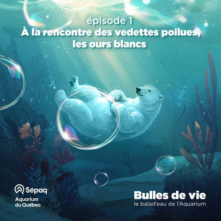 cover art for Épisode 1 - À la rencontre des vedettes poilues, les ours blancs