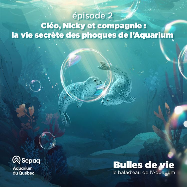 cover art for Épisode 2 - Cléo, Nicky et compagnie : la vie secrète des phoques de l’Aquarium