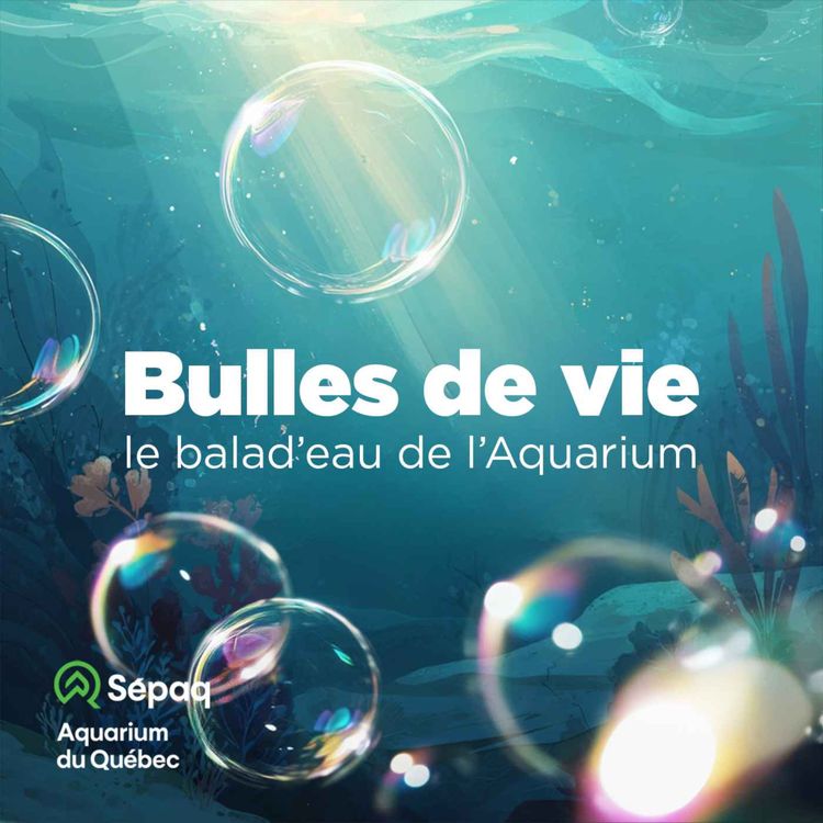 cover art for Bande-annonce Bulles de vie