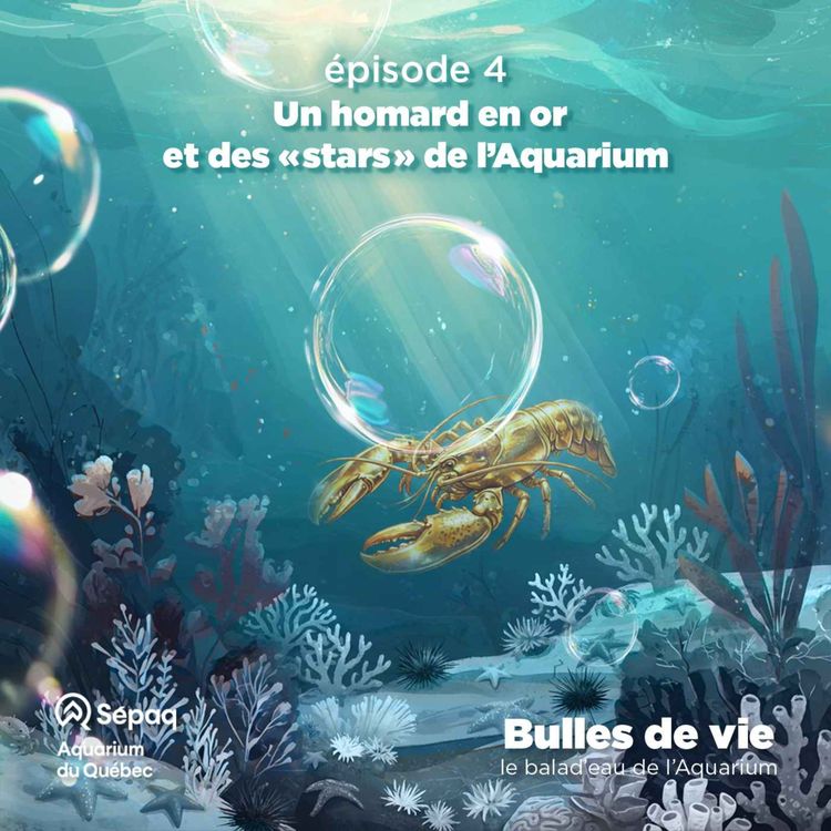 cover art for Épisode 4 - Un homard en or et des « stars » de l’Aquarium.