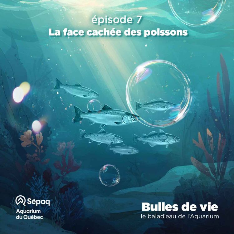cover art for Épisode 7 - La face cachée des poissons